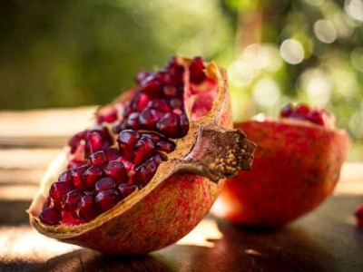 Гранат Уличный  саженец купить в Москве